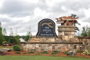 New Buford Homes Now Selling at New Right Choice™ Community by Almont Homes